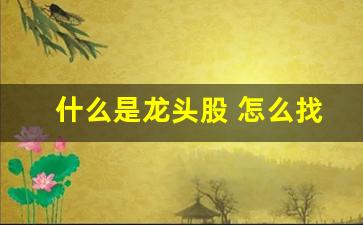 什么是龙头股 怎么找(什么是龙头股怎么找)_https://www.haiwangdasha.com_科创板_第1张